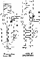 Anchor Shackle: Screw Pin