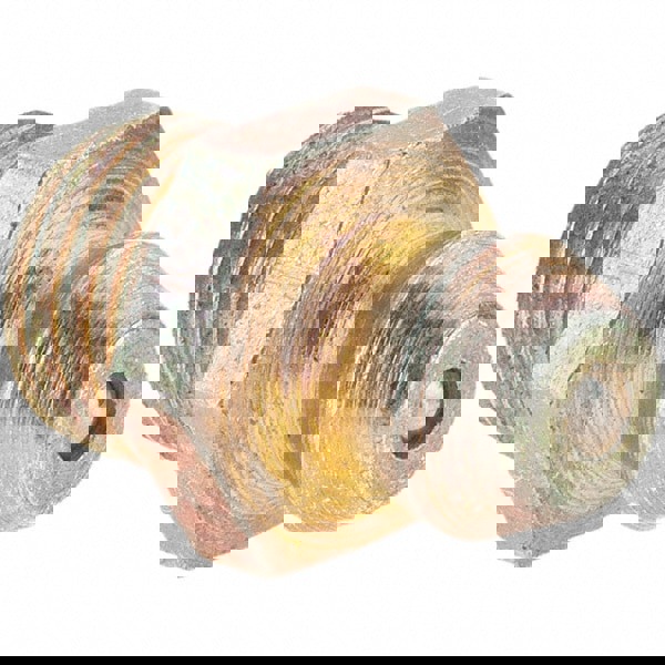 Standard Grease Fitting: 5/16-24