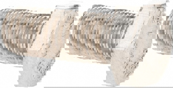 Hex Head Cap Screw: 3/8-16, 1