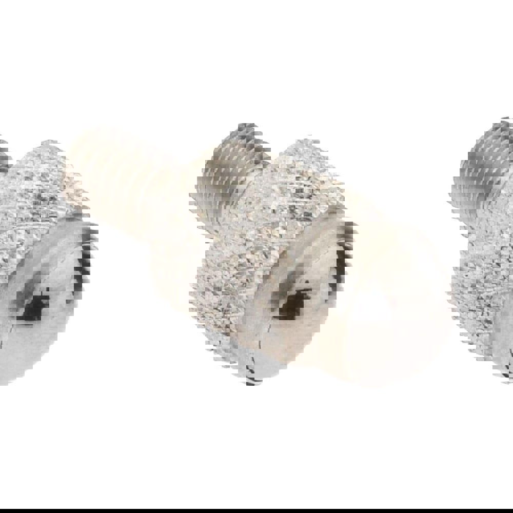 Drop Indicator Cupped Ball Contact Point: M2.5, 4 mm Dia, 7 mm Contact Point Length