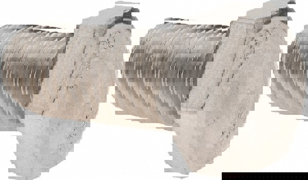 Hex Head Cap Screw: 1/2-13, 1-1/4