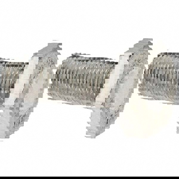 Hex Head Cap Screw: 1/4-20, 3/4