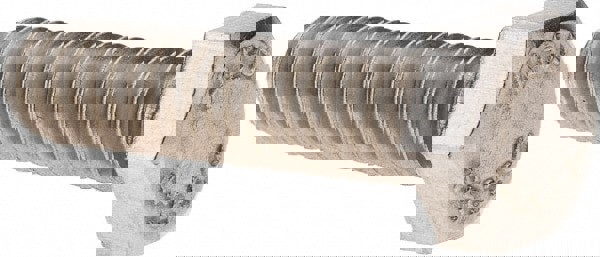 Hex Head Cap Screw: 5/16-18, 1-1/4