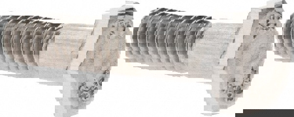 Hex Head Cap Screw: 1/4-20, 1-1/4