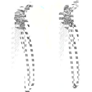 CCY 1.75 6F AROMA H/SHWR SRBN