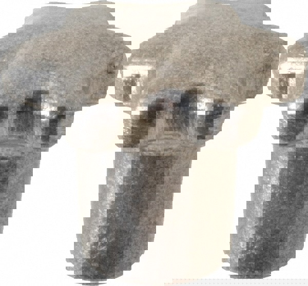 Lobed (Palm-Grip) Knob: 2