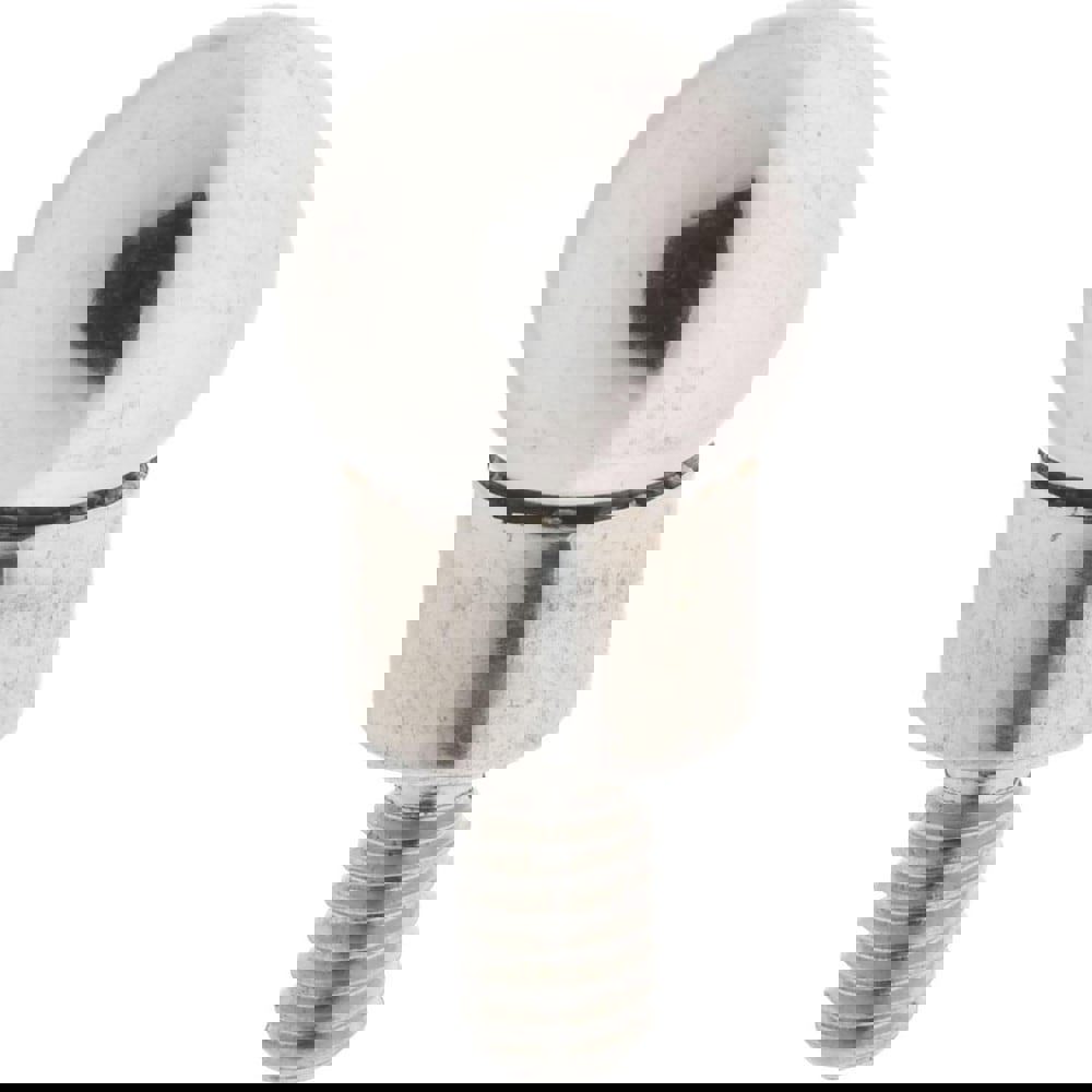 Dial Indicator Points