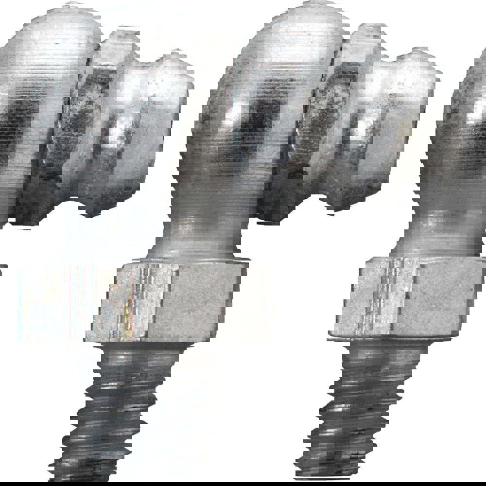 Standard Grease Fitting: 90 ° Head, M6 x 1 Metric