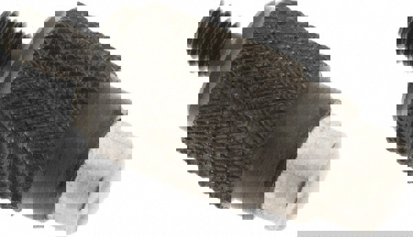 Dial Indicator Points