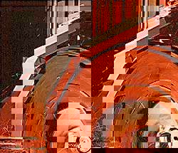 Abrasive Belt: 2-1/2