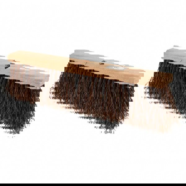 Push Broom: Palmyra Bristle