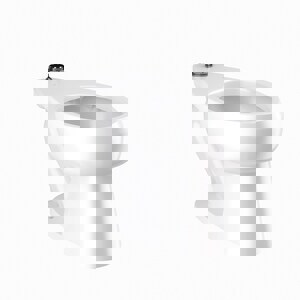 Elongated Toilet Bowl in White