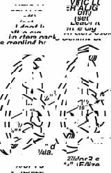 Dial Indicator Backs Agd 3