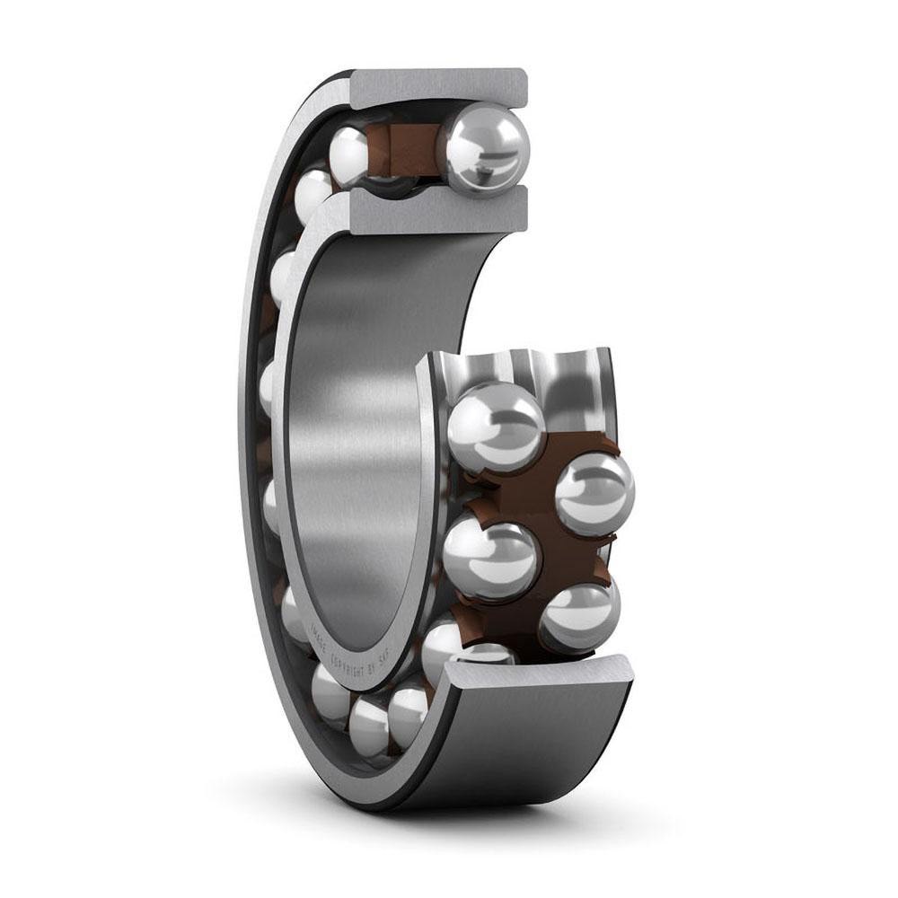 Self-Aligning Ball Bearing: 45 mm Bore D