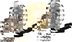 1 Pole Canopy Pull Appliance Switch