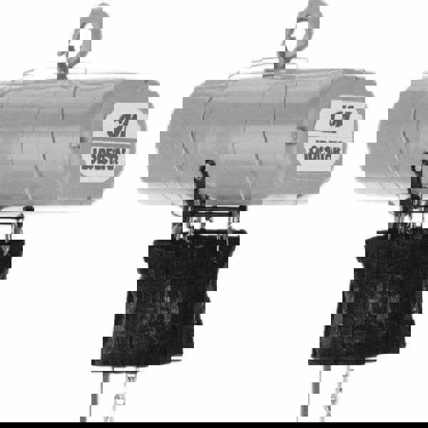 Manual Hand Chain Hoist: 1 Ton Working Load Limit, 15' Max Lift