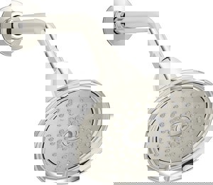 Multi Function Showerhead in Vibrant Polished Nickel