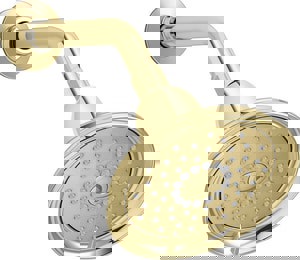 Multi Function Showerhead in Vibrant Polished Brass