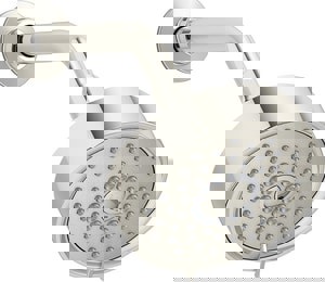 Multi Function Showerhead in Vibrant Polished Nickel