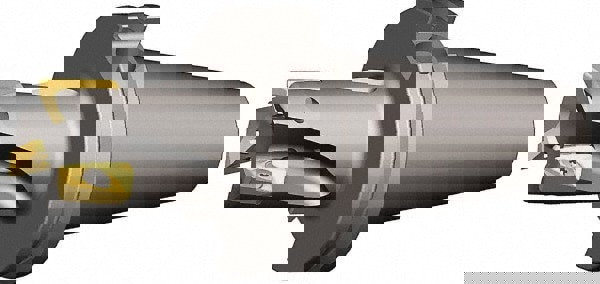 Indexable Square-Shoulder End Mill: M1D100E1802CV40L250, 1