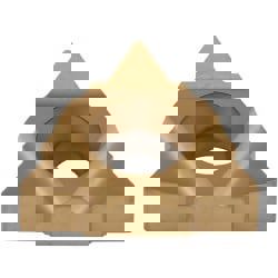 Laydown Threading Insert: 22U IR/L 4 UN P25C, Solid Carbide