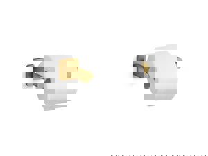 Wall Toilet Tissue Holder in Vibrant Brushed Moderne Brass