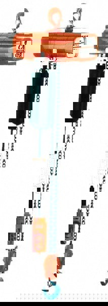 Electric Hoist: 1 lb Working Load Limit