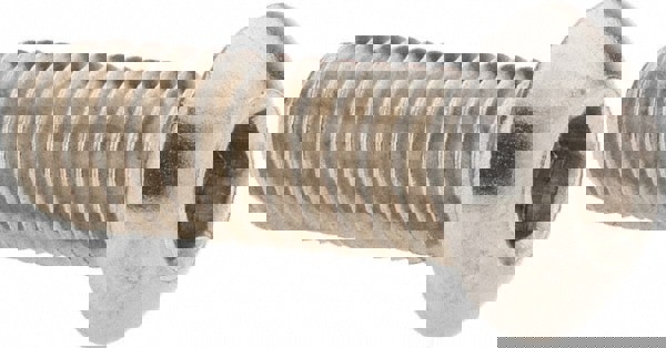 Button Socket Cap Screw: 1/4-20, 3/4