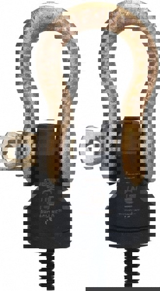 Hoist Ring: 4,000 lb Working Load Limit