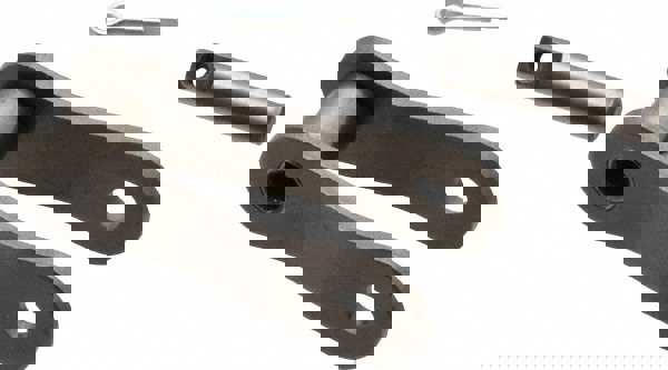 Roller Chain Link: for Conveyor Chain, 1