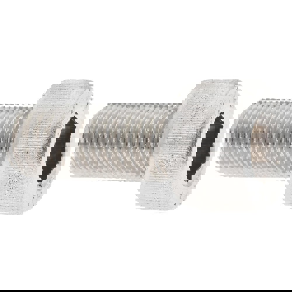 Hex Socket Cap Screw: M8x1.25, 20.00 mm Length Under Head, 18-8 & Austenitic Grade A2 Stainless Steel