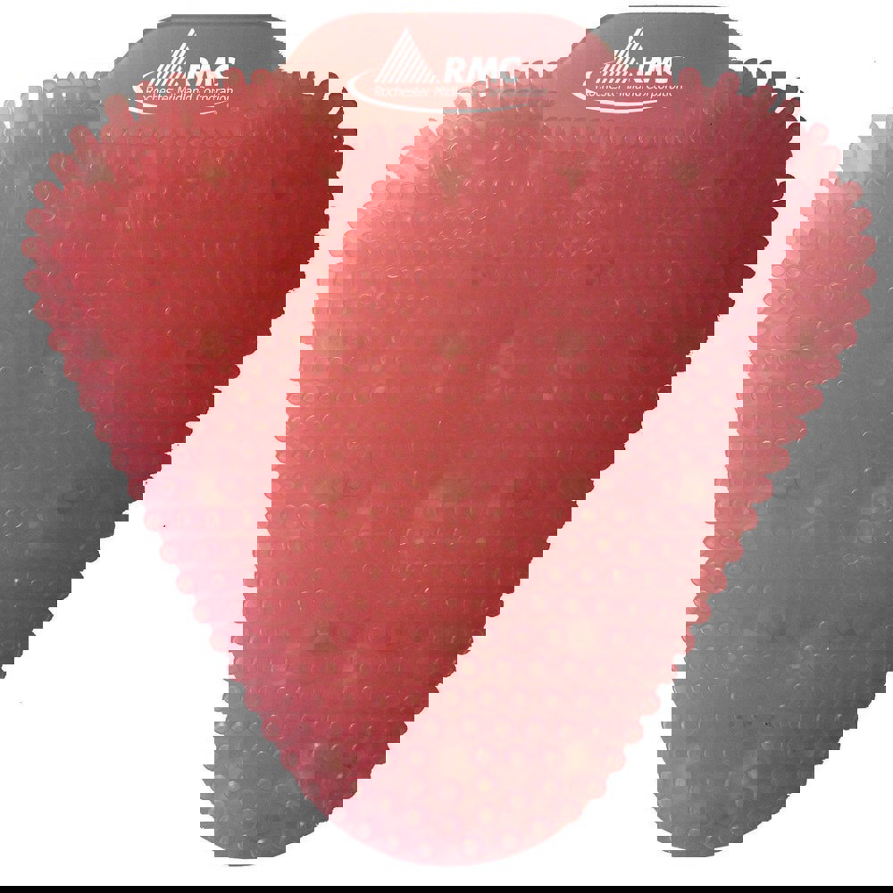 1 10-Piece EVA Resin Non-Para Urinal Screen