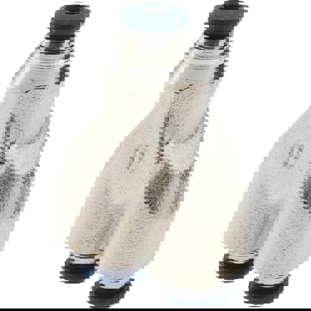 Push-To-Connect Tube to Tube Tube Fitting: 1/8