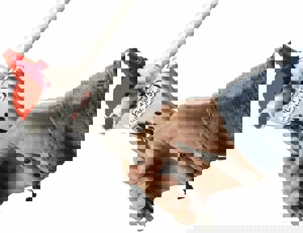 Cutter Replacement Blade