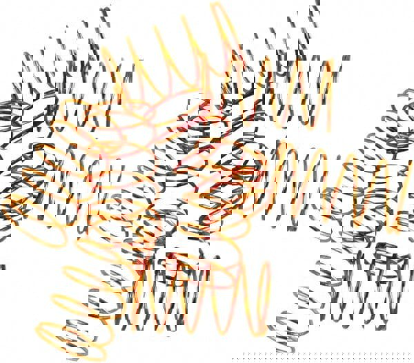 Faucet Replacement Metering Air Diaphragm Springs