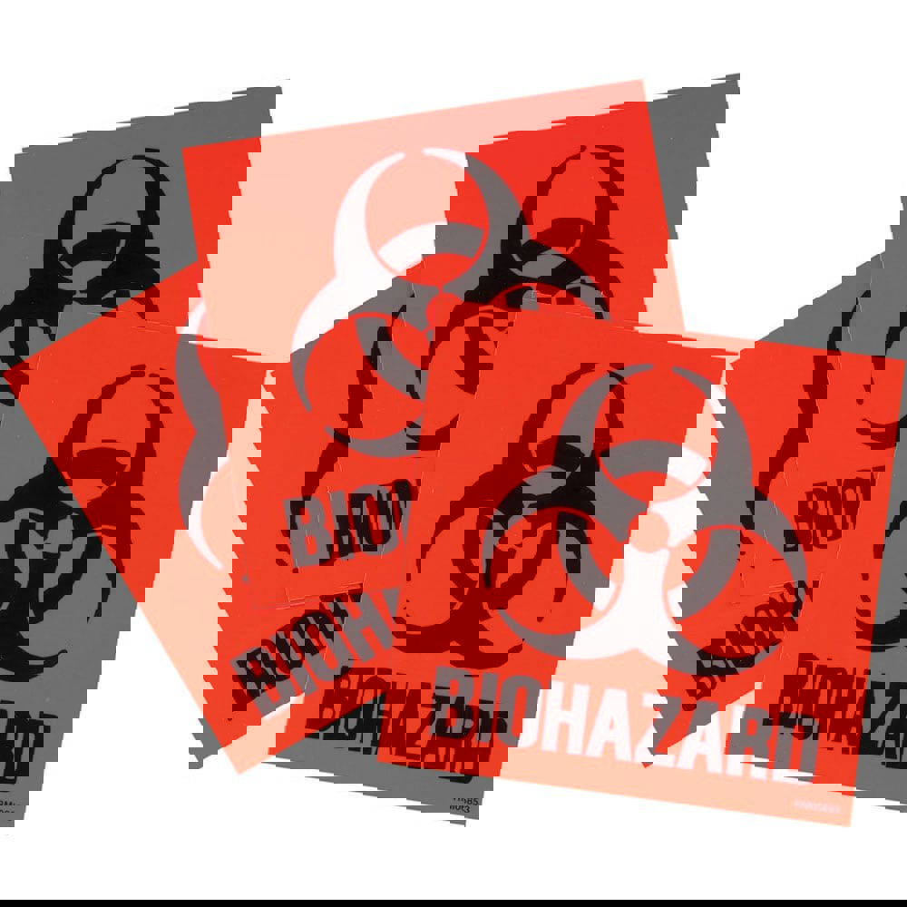 Label: Rectangle, 11