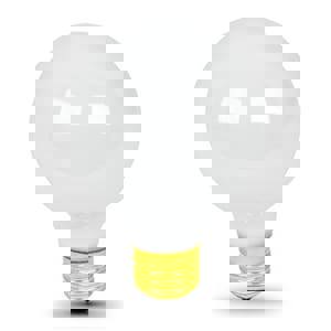 WHIT 25W G25 INCAN 24PK