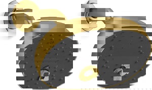 Multi Function Showerhead in Vibrant Brushed Moderne Brass