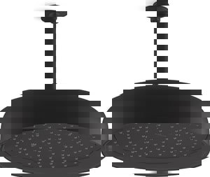 Dual Function Showerhead in Matte Black
