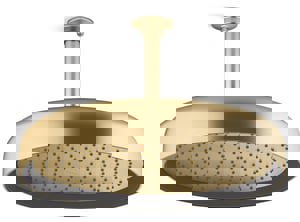 Single Function Showerhead in Vibrant Brushed Moderne Brass