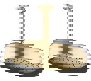 Dual Function Showerhead in Vibrant Brushed Moderne Brass