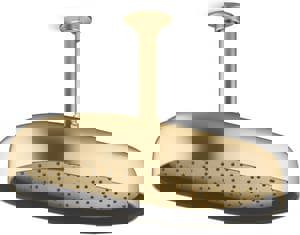 Dual Function Showerhead in Vibrant Brushed Moderne Brass