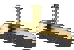 Multi Function Showerhead in Vibrant Brushed Moderne Brass