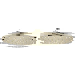 Single Function Showerhead in Brushed Nickel