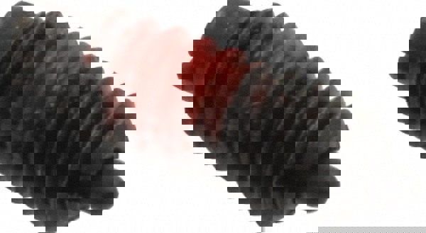 Threaded Spring Plunger: #6-32, 3/8