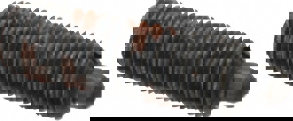 Threaded Spring Plunger: 3/8-16, 1-1/8