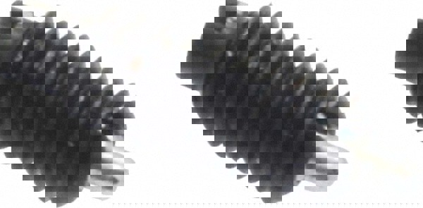 Threaded Spring Plunger: #6-32, 3/8