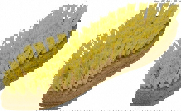 Scrub Brush: Tampico Bristles