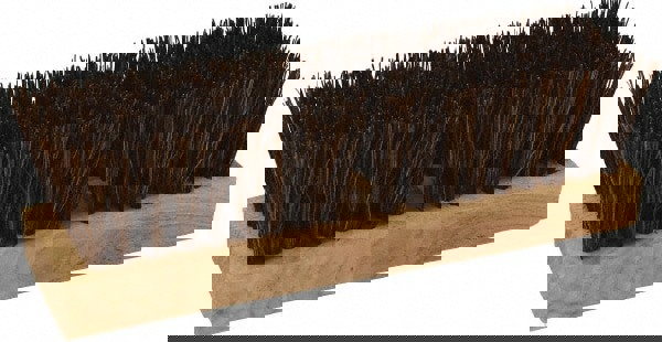 Deck Scrub Brush: Palmetto Fiber Bristles