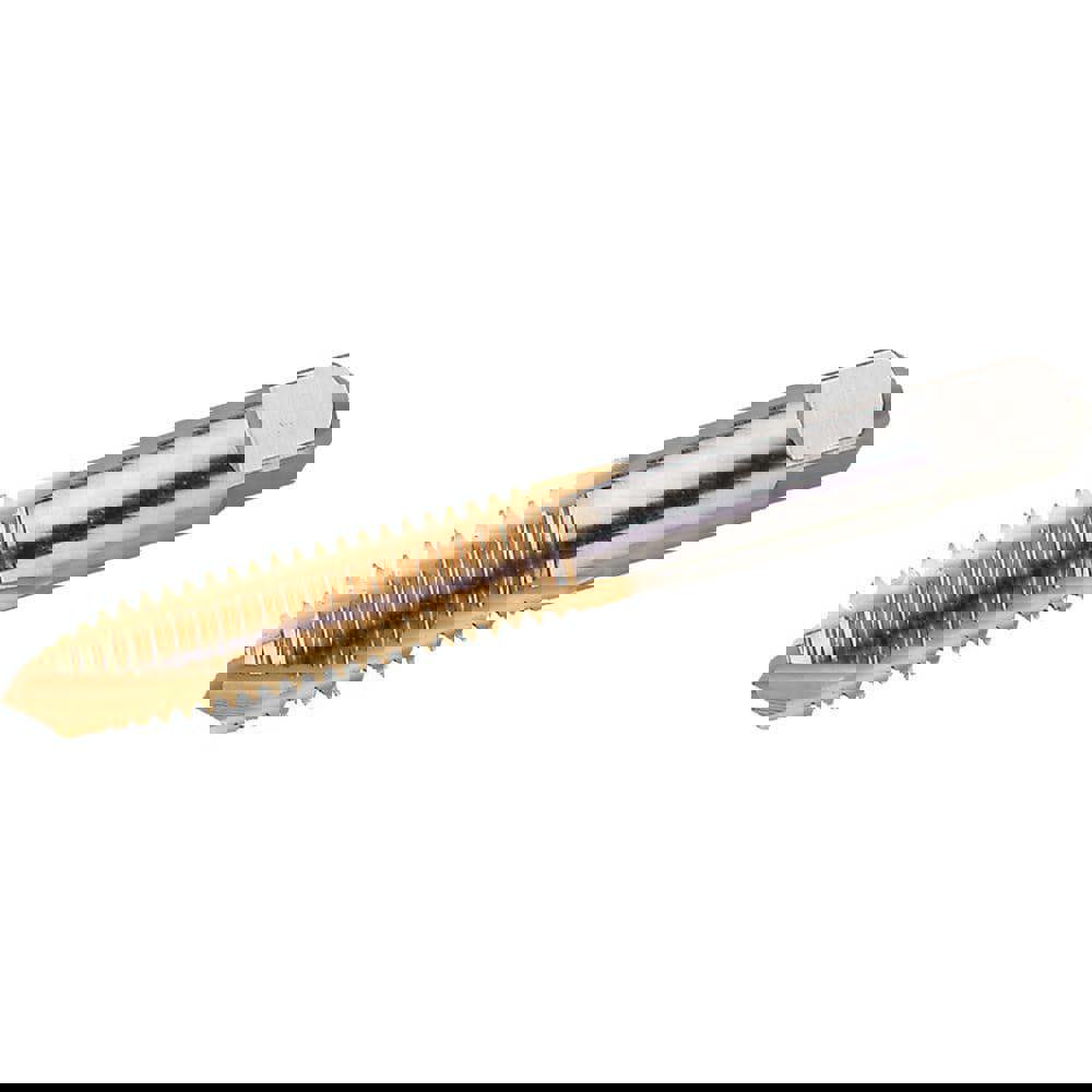 Spiral Point Tap: #2-56 UNC, 2 Flutes, Plug Chamfer, 2B/3B Class of Fit, High-Speed Steel, TiN Coated